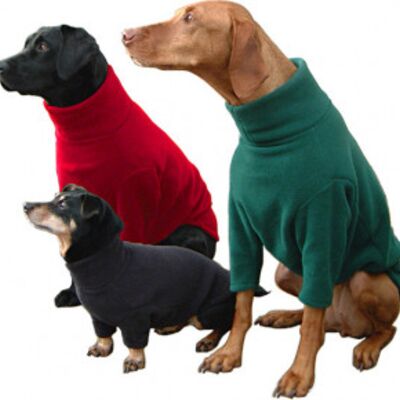 DoggieWear Thumbnail